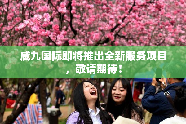 威九国际即将推出全新服务项目，敬请期待！