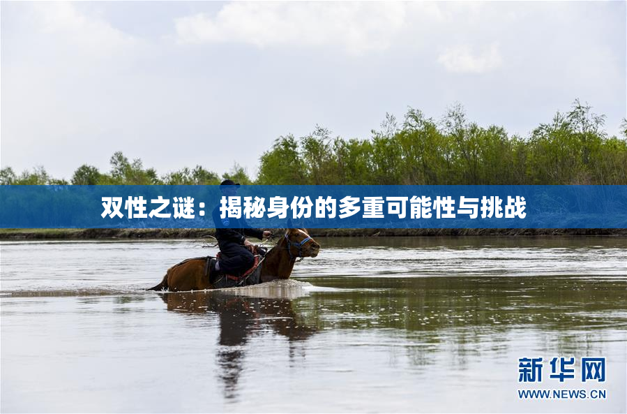 双性之谜：揭秘身份的多重可能性与挑战