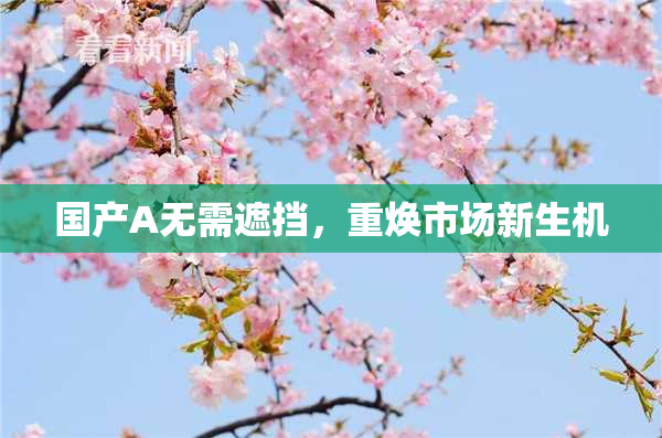国产A无需遮挡，重焕市场新生机