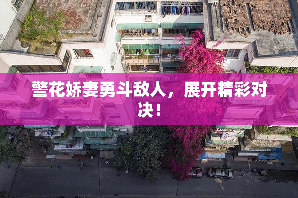 警花娇妻勇斗敌人，展开精彩对决！