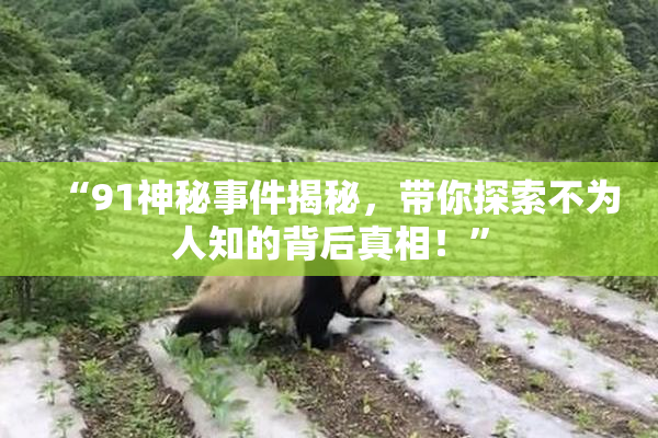 “91神秘事件揭秘，带你探索不为人知的背后真相！”