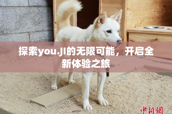 探索you.JI的无限可能，开启全新体验之旅