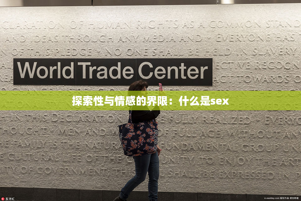 探索性与情感的界限：什么是sex