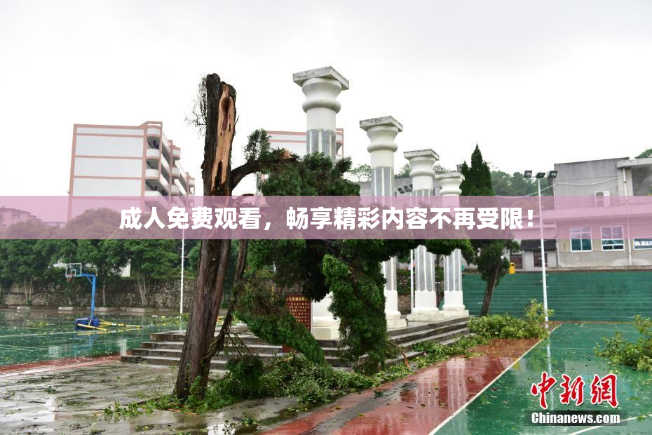成人免费观看，畅享精彩内容不再受限！