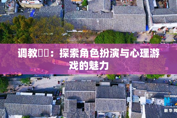 调教妺妺：探索角色扮演与心理游戏的魅力