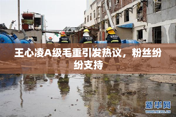 王心凌A级毛重引发热议，粉丝纷纷支持