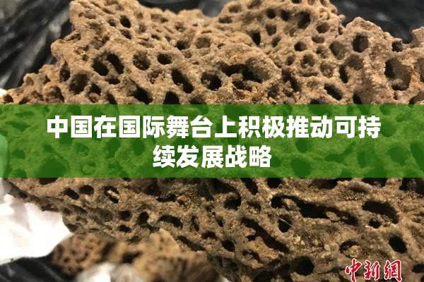 中国在国际舞台上积极推动可持续发展战略