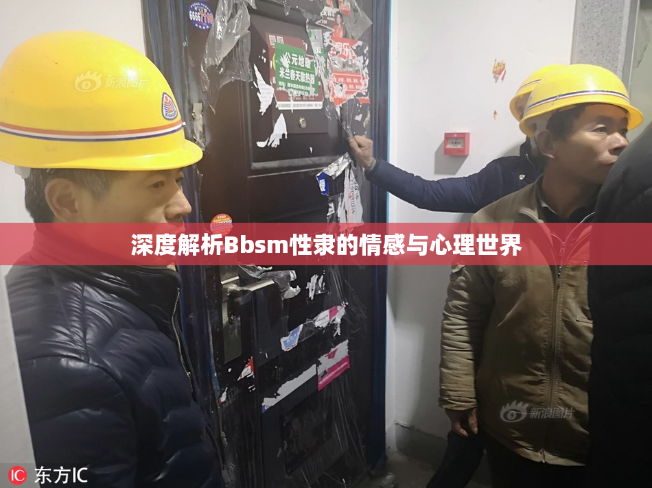 深度解析Bbsm性隶的情感与心理世界