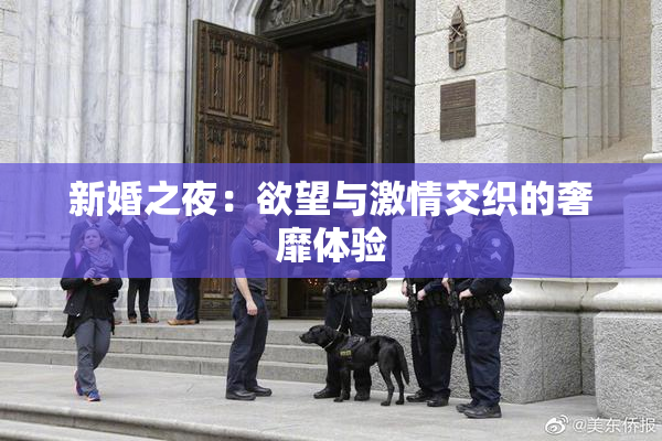 新婚之夜：欲望与激情交织的奢靡体验