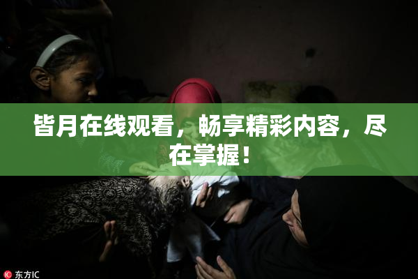 皆月在线观看，畅享精彩内容，尽在掌握！