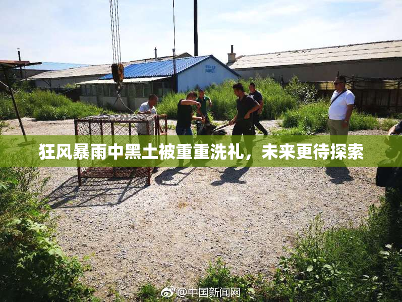 狂风暴雨中黑土被重重洗礼，未来更待探索