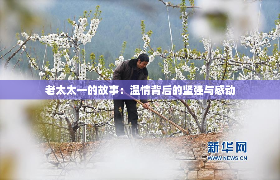 老太太一的故事：温情背后的坚强与感动