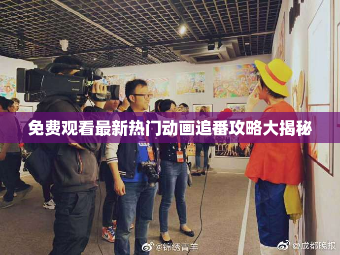 免费观看最新热门动画追番攻略大揭秘