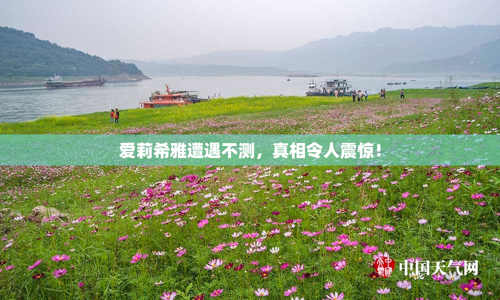 爱莉希雅遭遇不测，真相令人震惊！