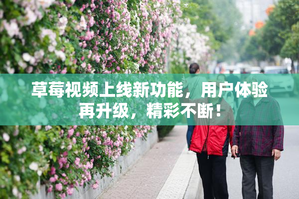 草莓视频上线新功能，用户体验再升级，精彩不断！