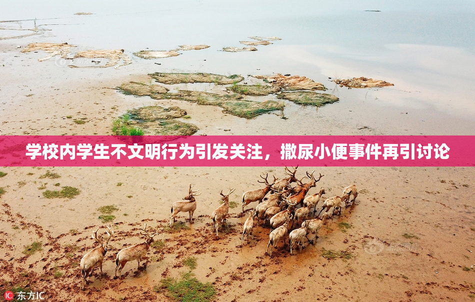 学校内学生不文明行为引发关注，撒尿小便事件再引讨论