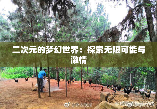 二次元的梦幻世界：探索无限可能与激情