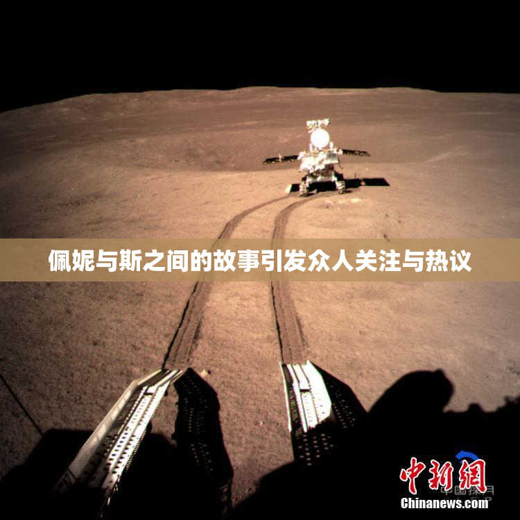 佩妮与斯之间的故事引发众人关注与热议
