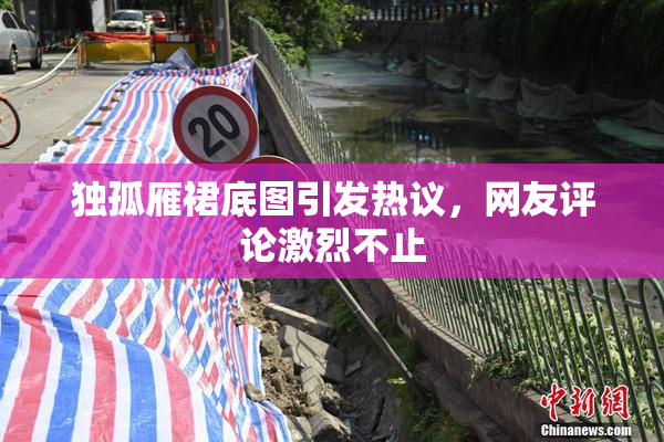 独孤雁裙底图引发热议，网友评论激烈不止