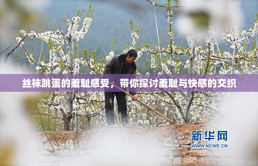 丝袜跳蛋的羞耻感受，带你探讨羞耻与快感的交织