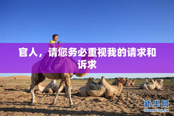 官人，请您务必重视我的请求和诉求