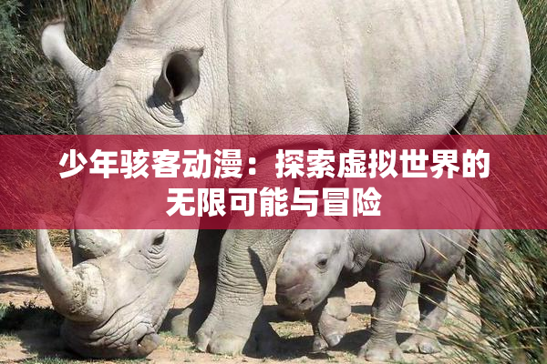 少年骇客动漫：探索虚拟世界的无限可能与冒险