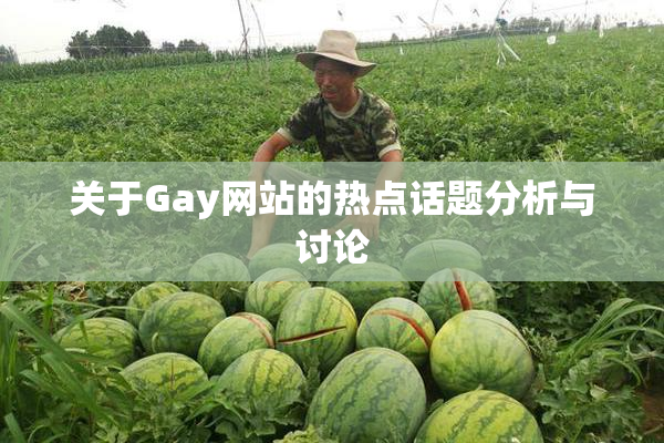 关于Gay网站的热点话题分析与讨论