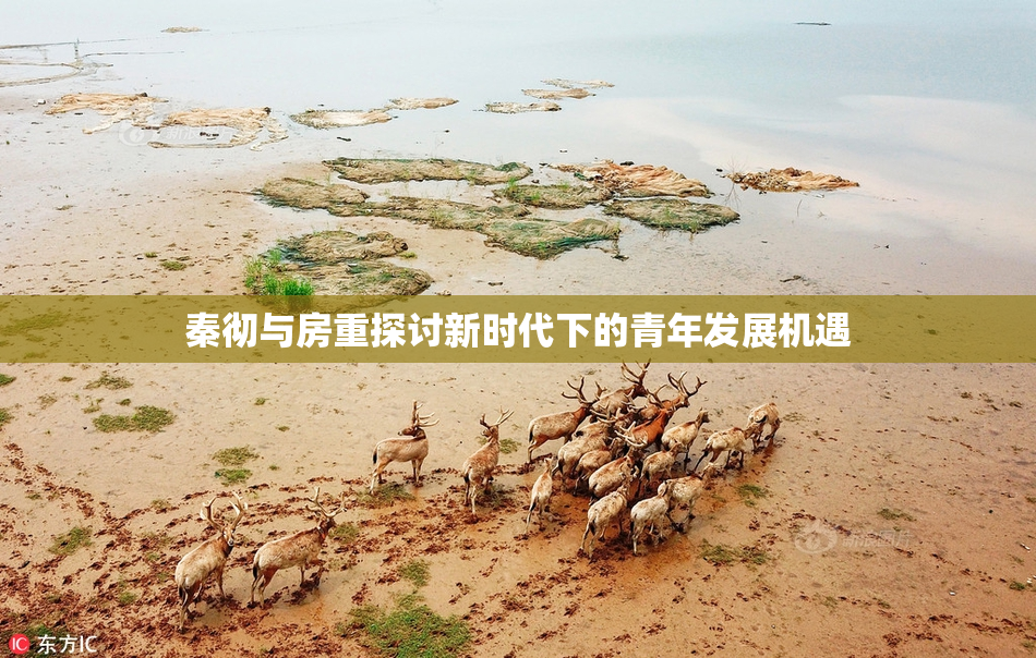 秦彻与房重探讨新时代下的青年发展机遇