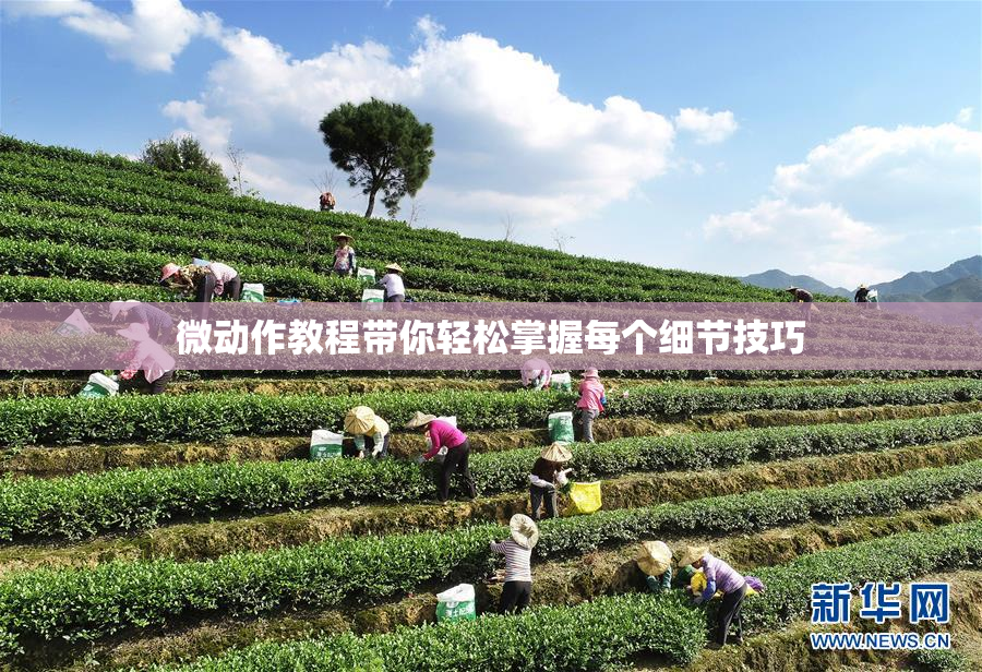微动作教程带你轻松掌握每个细节技巧