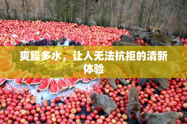 爽躁多水，让人无法抗拒的清新体验