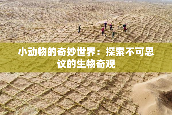小动物的奇妙世界：探索不可思议的生物奇观