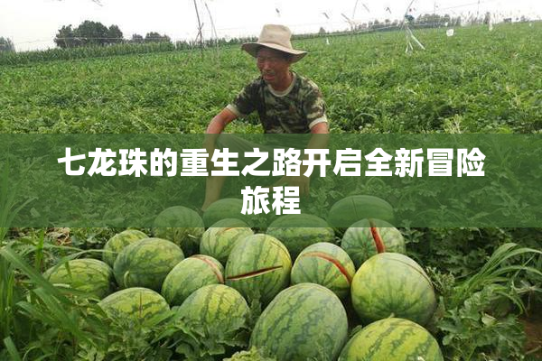 七龙珠的重生之路开启全新冒险旅程