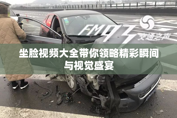 坐脸视频大全带你领略精彩瞬间与视觉盛宴