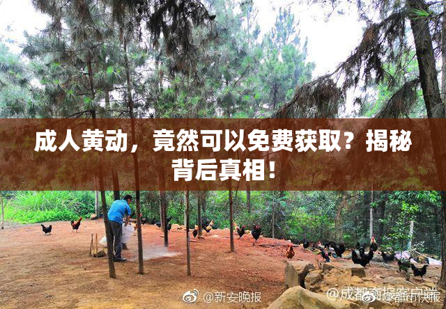 成人黄动，竟然可以免费获取？揭秘背后真相！