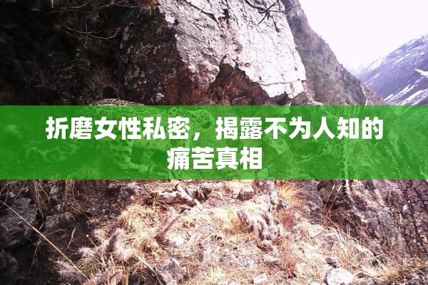折磨女性私密，揭露不为人知的痛苦真相