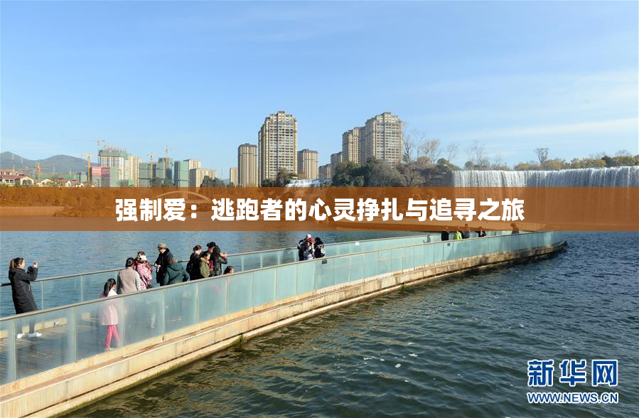 强制爱：逃跑者的心灵挣扎与追寻之旅