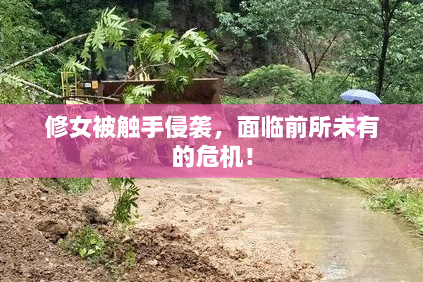 修女被触手侵袭，面临前所未有的危机！