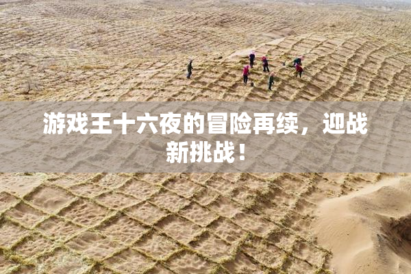 游戏王十六夜的冒险再续，迎战新挑战！