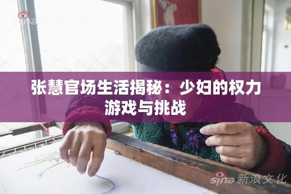 张慧官场生活揭秘：少妇的权力游戏与挑战