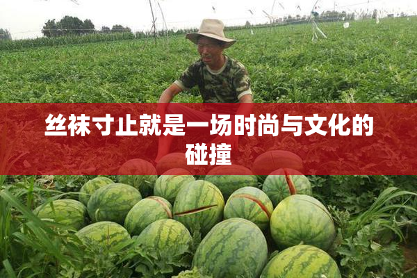 丝袜寸止就是一场时尚与文化的碰撞
