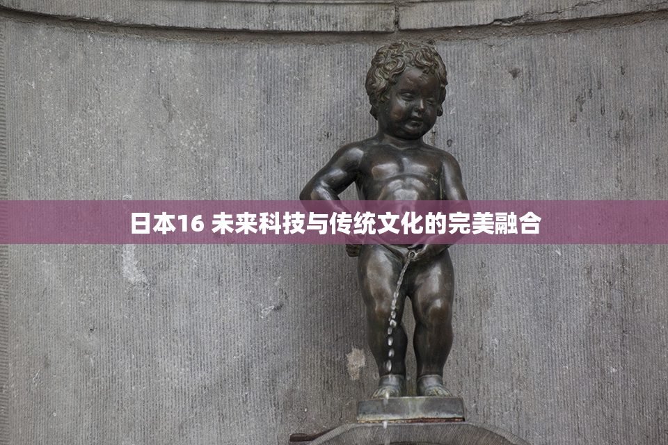 日本16 未来科技与传统文化的完美融合