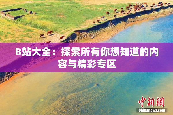 B站大全：探索所有你想知道的内容与精彩专区