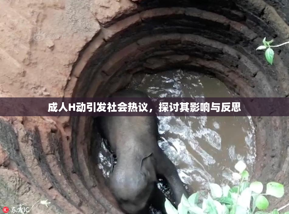 成人H动引发社会热议，探讨其影响与反思
