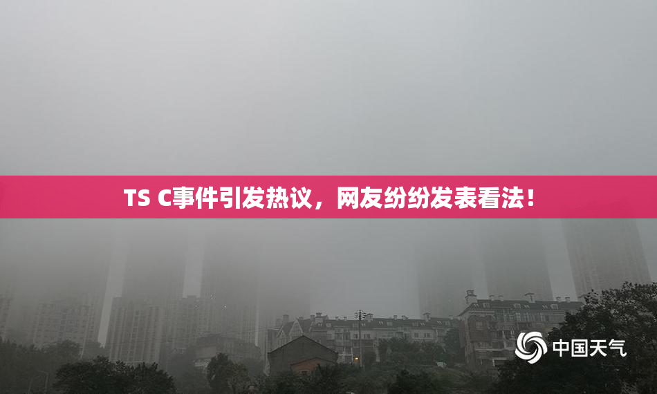 TS C事件引发热议，网友纷纷发表看法！