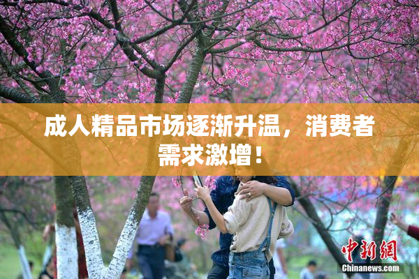 成人精品市场逐渐升温，消费者需求激增！