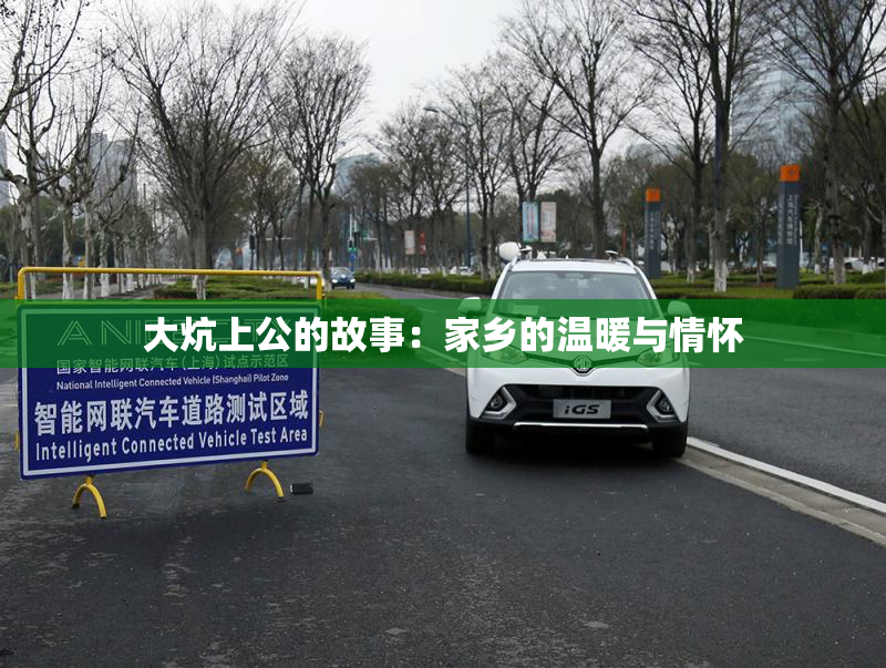 大炕上公的故事：家乡的温暖与情怀