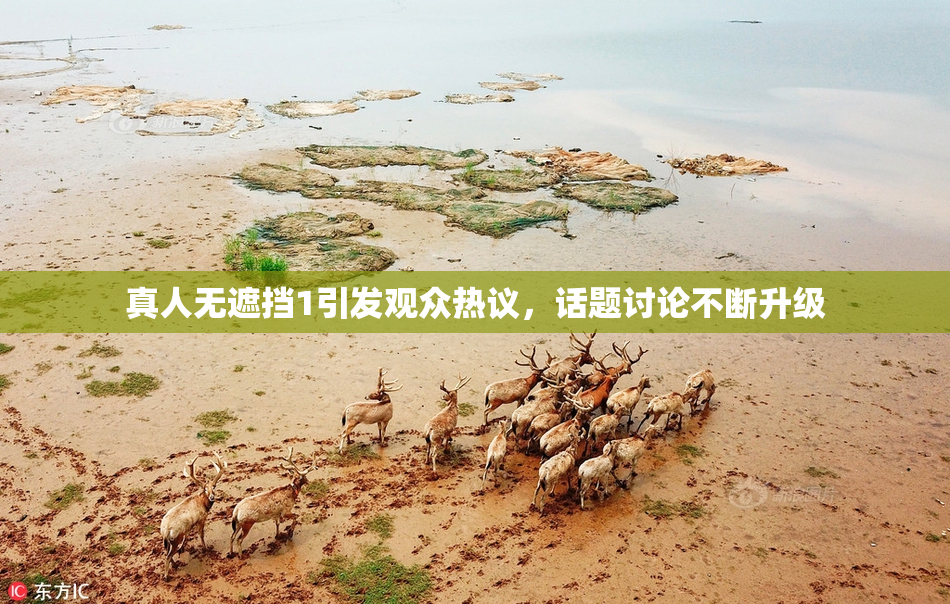 真人无遮挡1引发观众热议，话题讨论不断升级