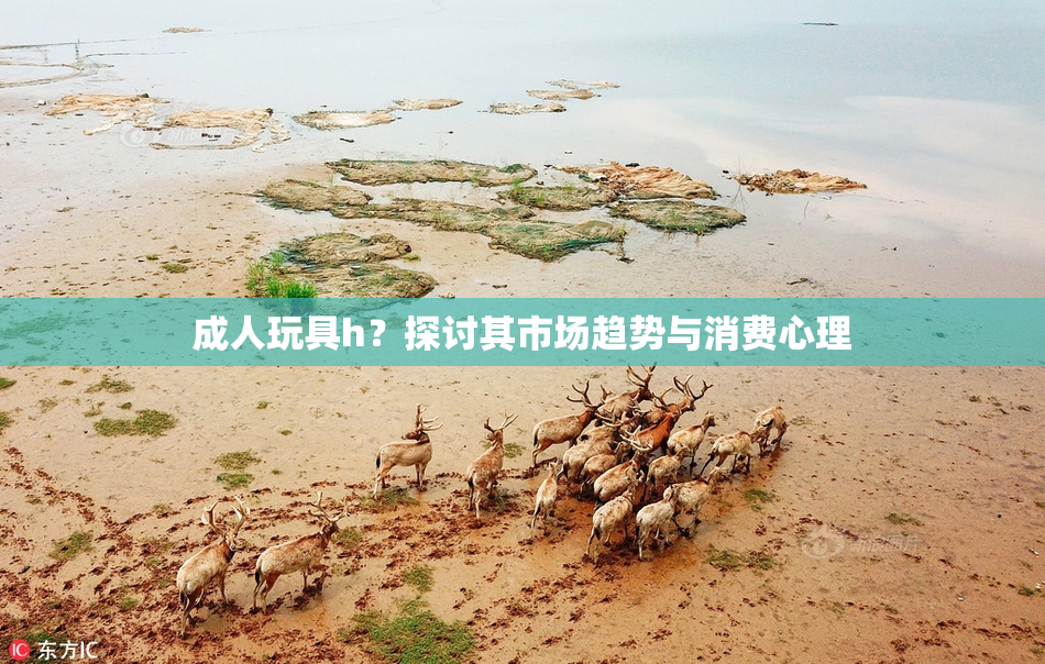 成人玩具h？探讨其市场趋势与消费心理