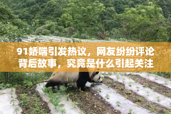 91娇喘引发热议，网友纷纷评论背后故事，究竟是什么引起关注？