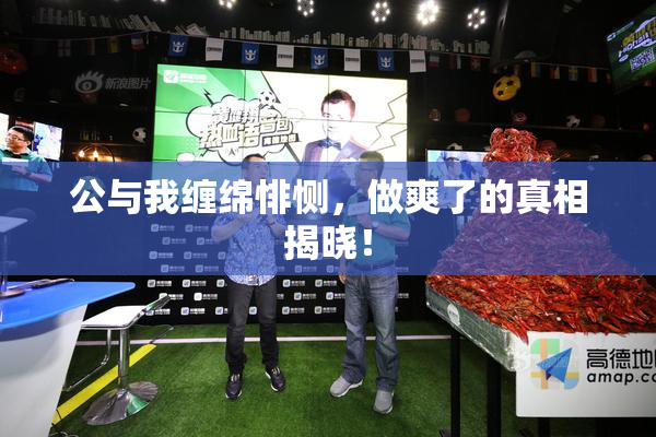 公与我缠绵悱恻，做爽了的真相揭晓！